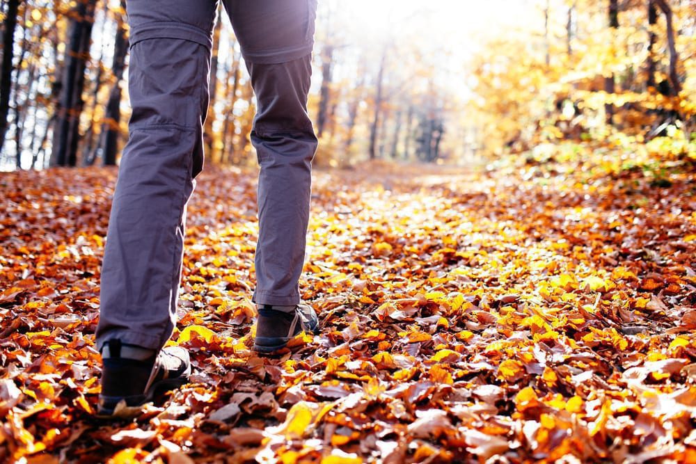 person walking a forest trail of autumn leaves