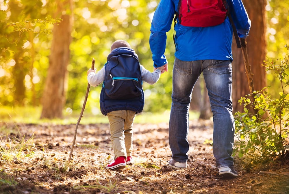 small child and adult hiking a forest trail in autumn