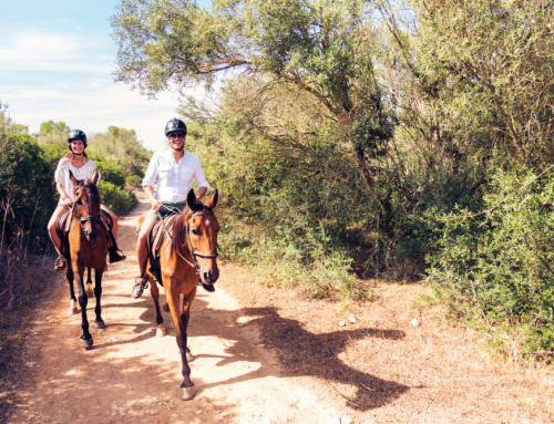 3 Horseback Riding Tours You Won’t Want to Miss