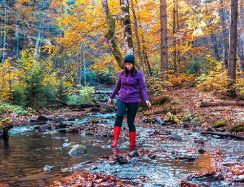 Best Hiking Lakes, Rivers, Near Broken Bow, OK, In Fall