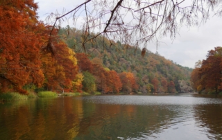 Fall In Oklahoma