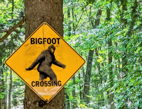 Every Bigfoot Thing To Do In The Broken Bow Area