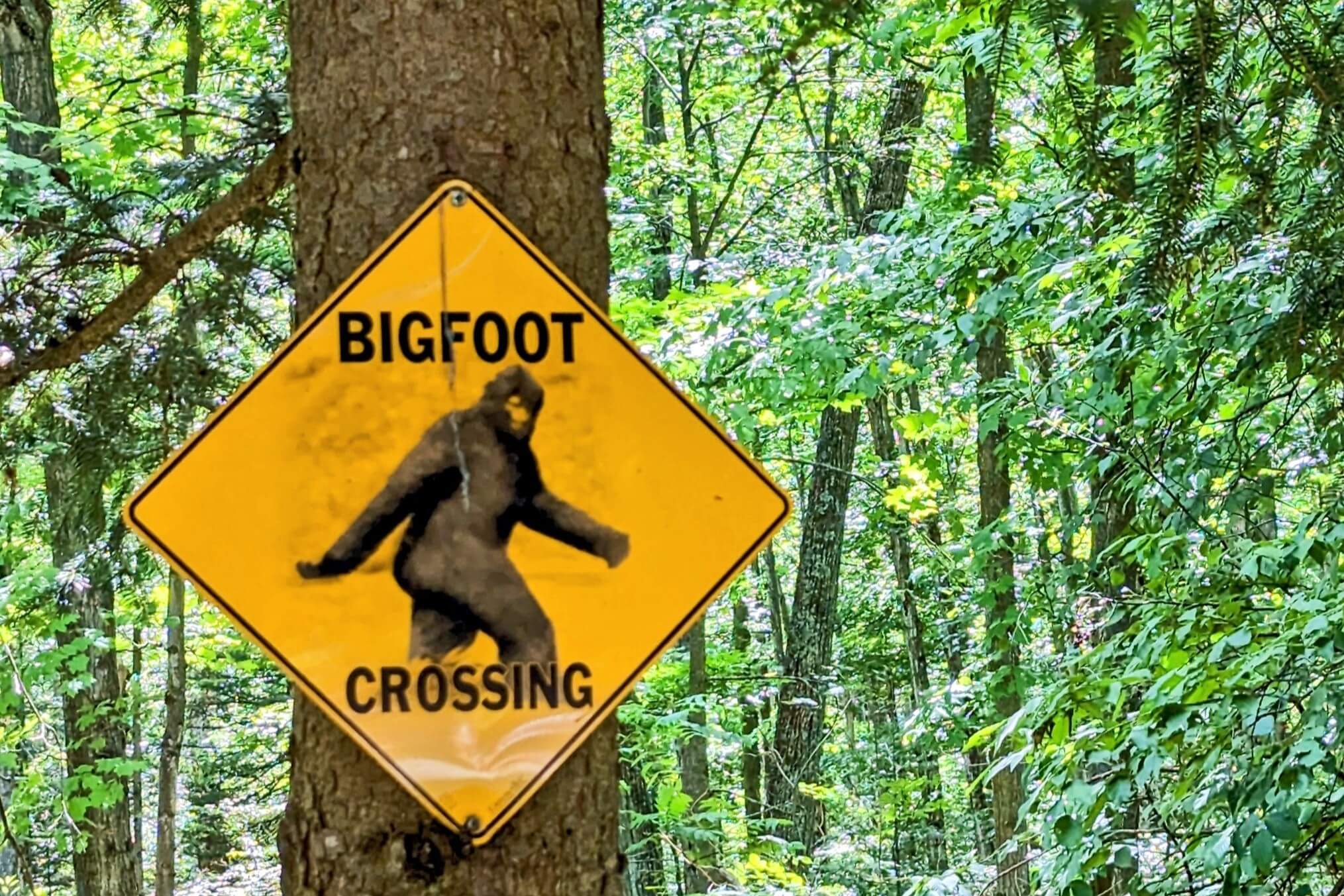 A Bigfoot sign in Oklahoma.