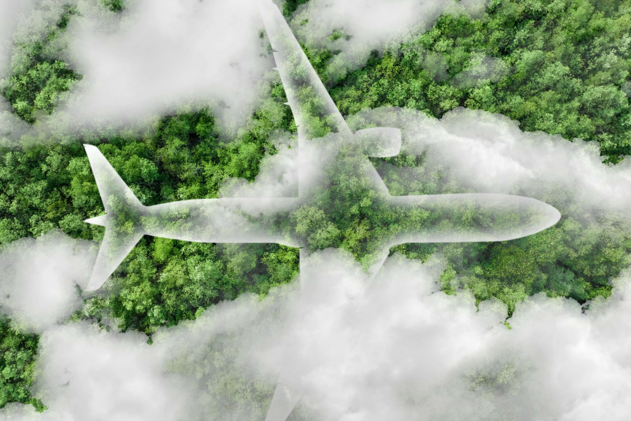 Sustainable Travel